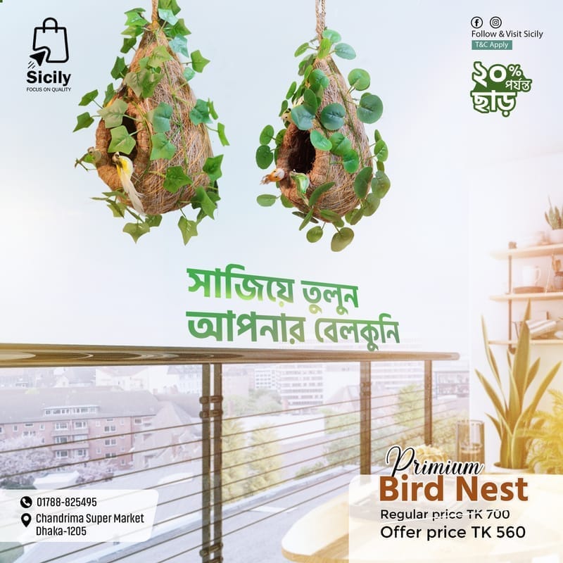 প্রিমিয়াম কোয়ালিটি বার্ড নেস্ট