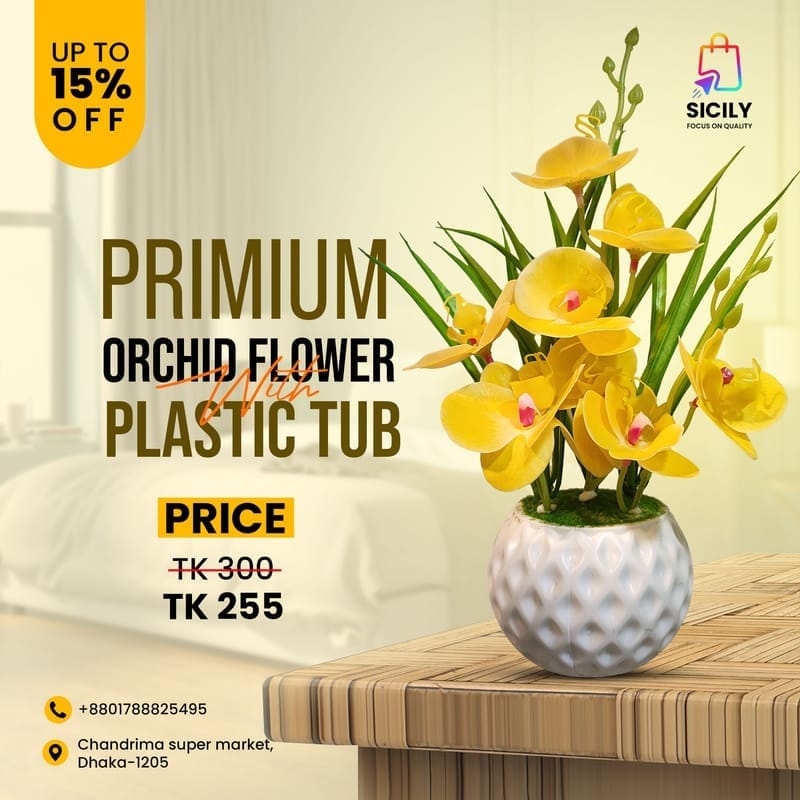 হলুদ অর্কিডের স্নিগ্ধতায় সাজুক ঘর!